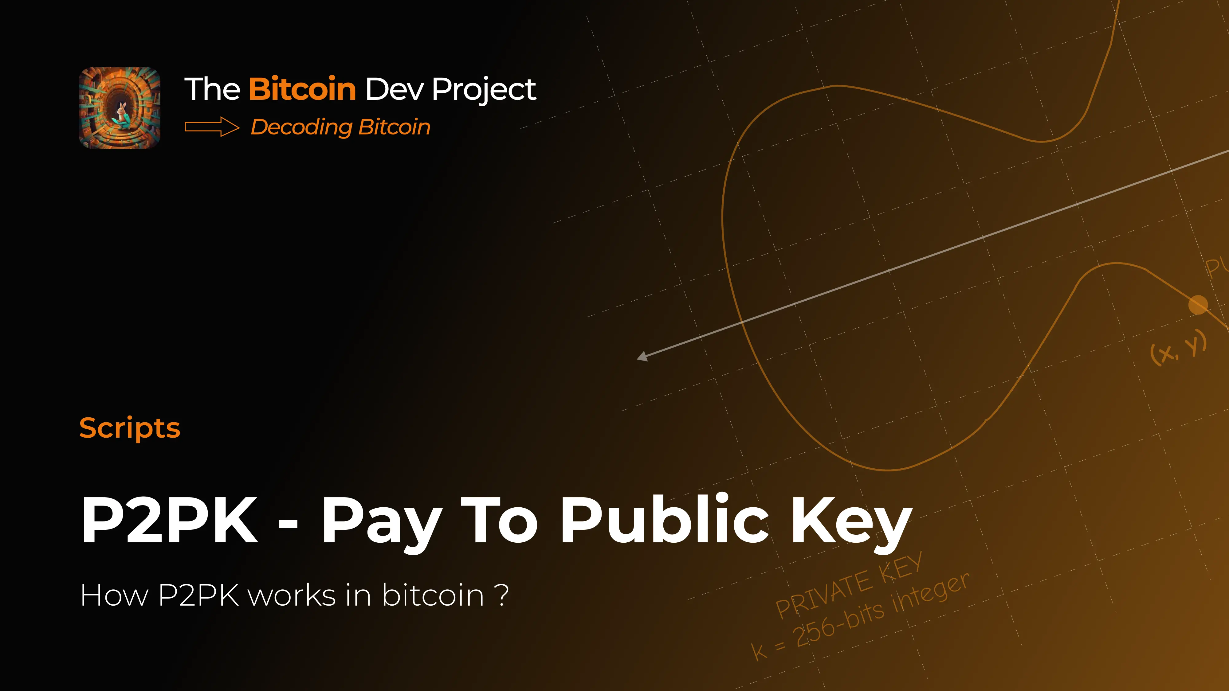 Exercise 2: Medium | The Bitcoin Dev Project