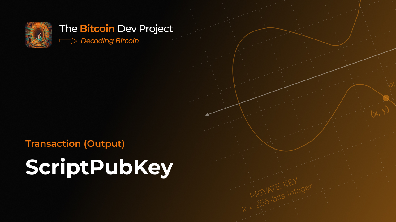 Outputs: ScriptPubKey | The Bitcoin Dev Project